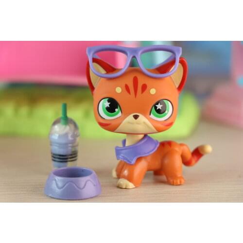 Pets Shop Transparent Neck New Short Hair Cat With Cartoon Animals Accessories Glasses Drink Bowl Shawl