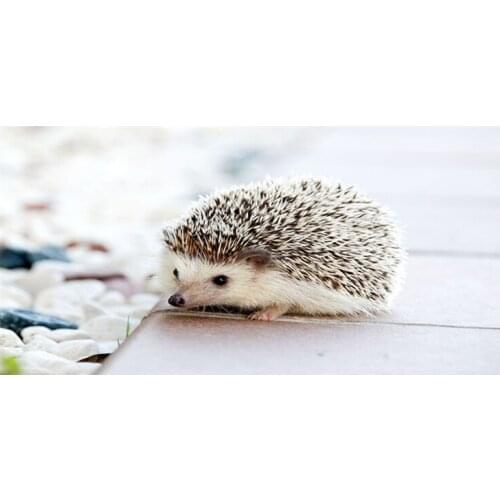 New Funny Guinea Pig Bath towels Nice Guinea Pig Swimming Beach towel for bath pool Microfoam animal gifts cm