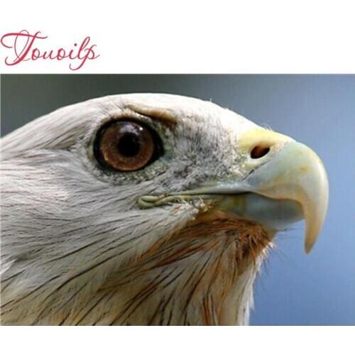 De Ogen Full Square&round Rhinestone DIY Diamond painting 3D cross stitch kits embroidery Needlework