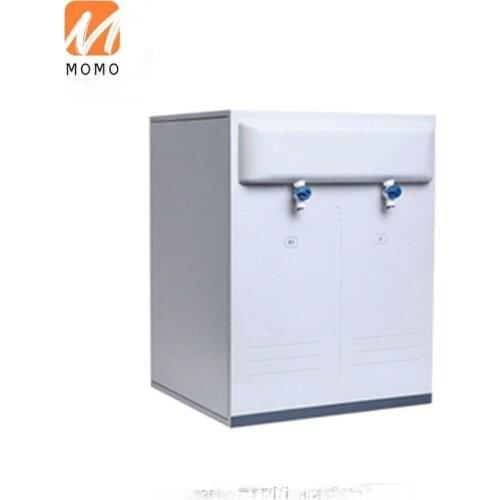 Automatic RO/DI Water Purifier FOR LAB/SCHOOL/HOME