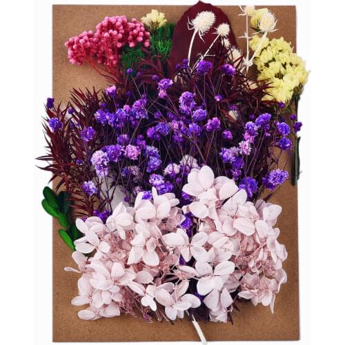 1 Bag Dried Flowers DIY Epoxy Resin Filling Jewelry Making Natural Flower Art Floral Handicraft Decoration Ornaments Accessories