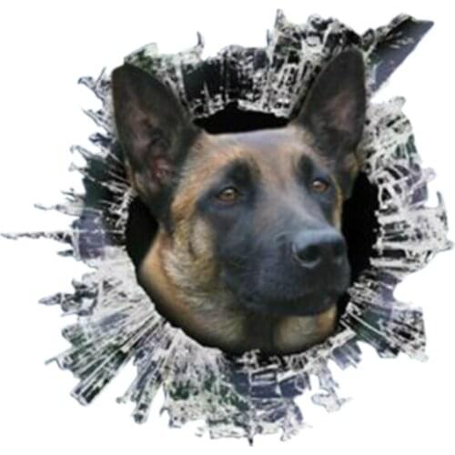 Belgian Malinois Decal Dogs Car Stickers Window Waterproof Sun Protection Cover Scratches Styling Decals,13cm*12cm