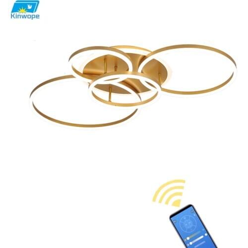 Modern Led Ceiling Lamp Acrylic Living Room Ring Creative Net Red Bedroom Dining Lamp Simple Metal Lamps