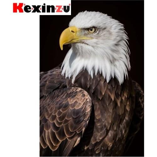 Kexinzu Full 5D DIY Square/ Round Diamond Painting"Animal Eagle" 3D Embroidery Cross Stitch Mosaic diamondpainting Gift