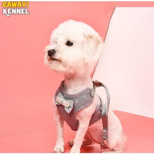 CAWAYI KENNEL Pet Harness + Leash Set Training Walking Leads for Small Cats Dogs Floral Print Harness Collar Adjust Leashes Set