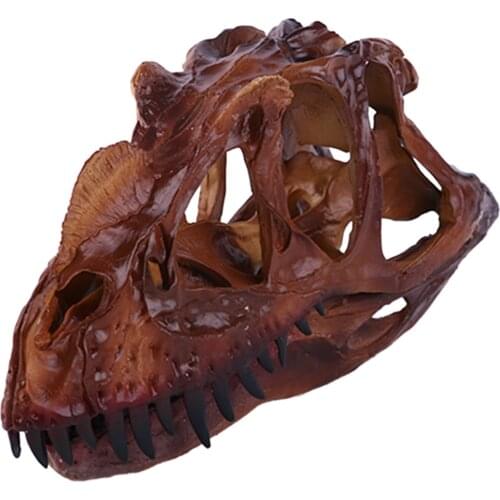 Resin Dinosaur Ceratosaurus Skull Teaching Bone Model Collectibles
