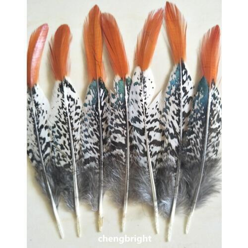 In stock wholesale 100pcs natural LadyAmherstsPheasant feathers wedding Decoration 10-30cm/4-12inch Carnival Stage performance