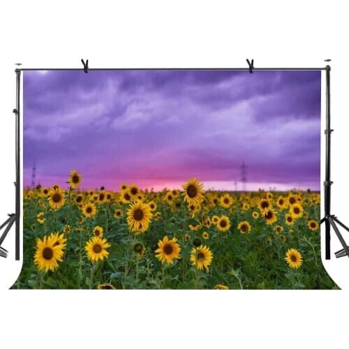 150x210cm Purple Backdrop Romantic Pink Clouds and Sunflower Suitable for Wedding and Photography Studio Background Props