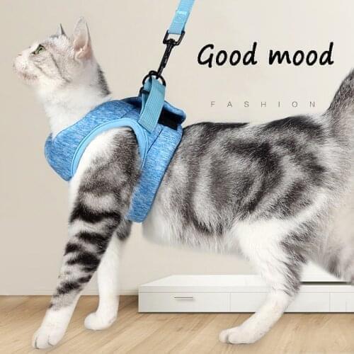 Pet Chest Strap Cat Dog Leash Cats Products Harness And Leash Set For Pets Breathable Vest Traction Rope Pet Clothe L Size