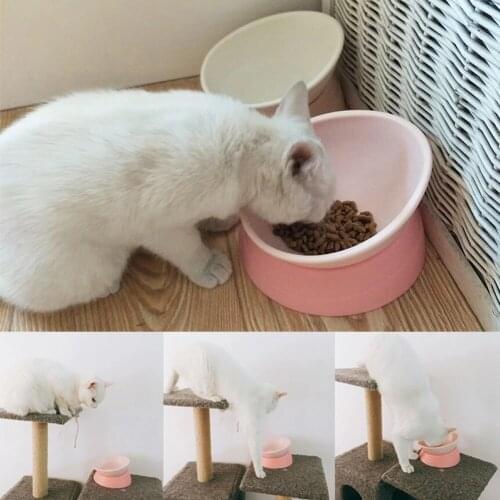 Degree Slanted Puppy Dog Cat Pet Food Bowl Cat Dish Dog Bowl Health Safety Pet Sterile Tableware Pet Feeding Watering Supplies