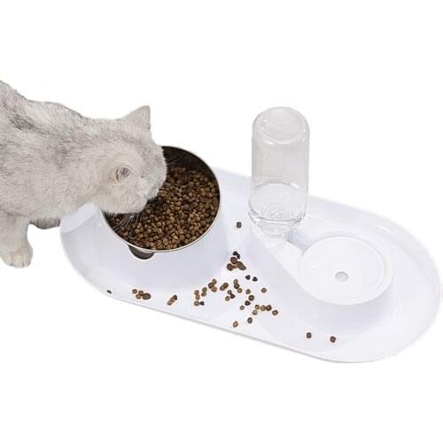 Dog Cat Bowl Stainless steel No Spill Pet Double Bowls Puppy Tilt Raised Stand Water Food Feeder