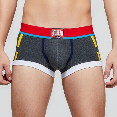 New Mens Boxers Cotton Underwear Panties Comfortable Sexy Boxer Shorts U-pouch Bag Boxer for Man