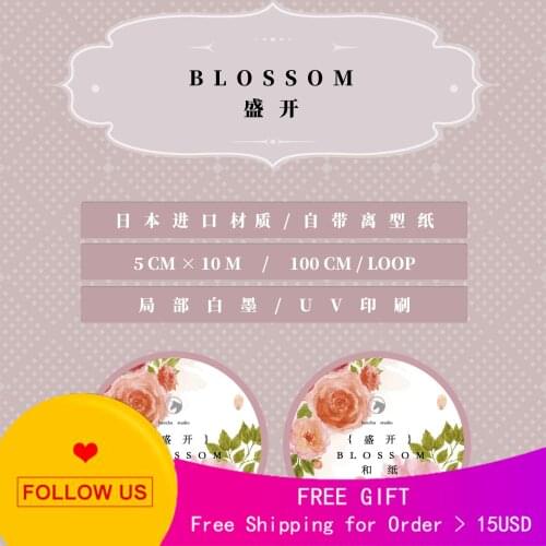 1 Loop Stationery Scrapbooking Stickers Pet Tape Beginning Blooming