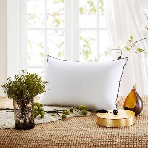 Brand high quality 100%Cotton Filler 100%Goose Feather pillowscase for adults bed pillow inner plus size rectangle 48*74cm