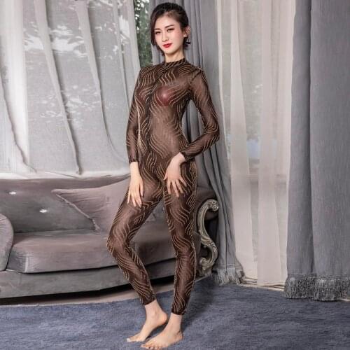 Sexy Gold Gauze Leopard Print Bodystocking Zipper Open Crotch Full Body Bodysuit Transparent Tight Fitting Long Sleeve Jumpsuit
