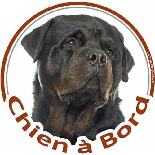 Personality Rottweiler Creative Logo Car Stickers Vinyl JDM Anti-UV Waterproof RV VAN Fine Decal 3D Accessories Graphics Comic