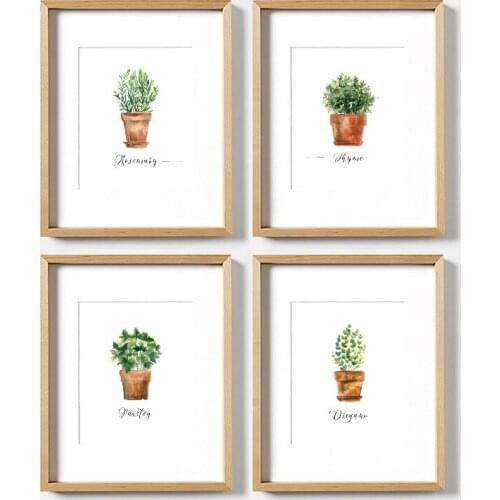 Watercolor Herb Collection Kitchen Wall Art Canvas Posters Prints Decor Oregano Thyme Rosemary Parsley Art Painting Pictures