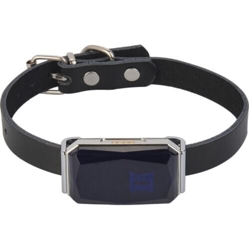 IP67 Waterproof Pet Collar GSM AGPS Wifi LBS Mini GPS Tracker for Pets Tracking Q9QD