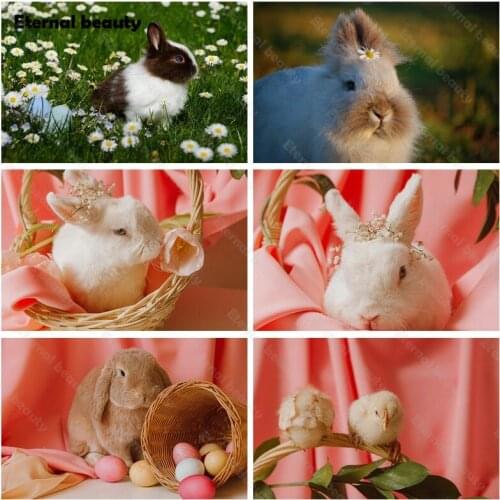 Animal Diamond Painting Kit Rabbits Cross Ctitch Kits 5D Diy Diamond Painting Cross Ctitch Kits Diamond Mosaic Embroidery Crafts