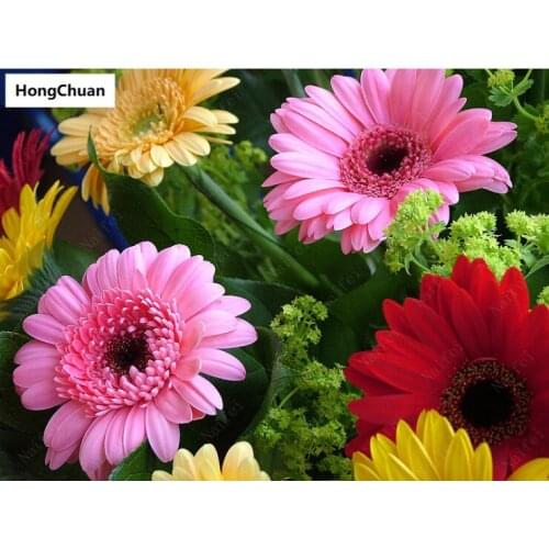 Fast delivery colorful flower mural 5D DIY round/square diamond painting embroidery mosaic cross stitch home decoration new year