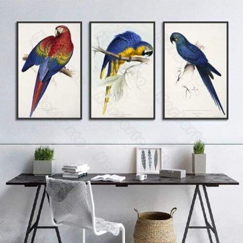 Canvas Painting Poster Retro Birds Art Parrots with Blue Purple Red Green Feather Hanging In Branches Home Rooms Wall Decoration