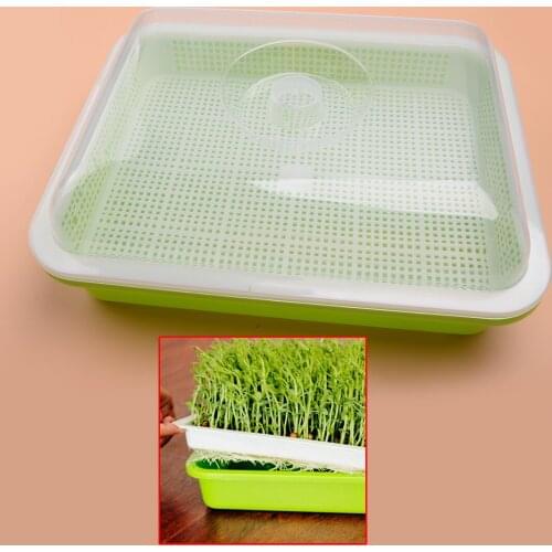 BPA Free PP Seed Sprouter Tray With Lid Cover Soil-Free Hydroponic Bean Sprout Grower Plate
