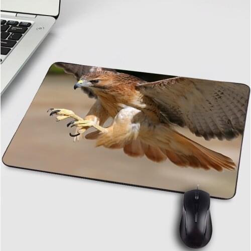 Mairuige Cool Hadsome Animals Falcon Owl Pattern Mousepad Creative Diy Design Table Mat for Pc Computer Laptop Keyboard Deskmat