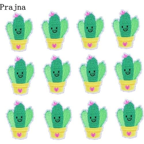 Prajna Cheap Wholesale Cartoon Cactus Patch Cartoon Iron On Embroidered Patches For Clothing Kids Parches Clothes Ironing Badges