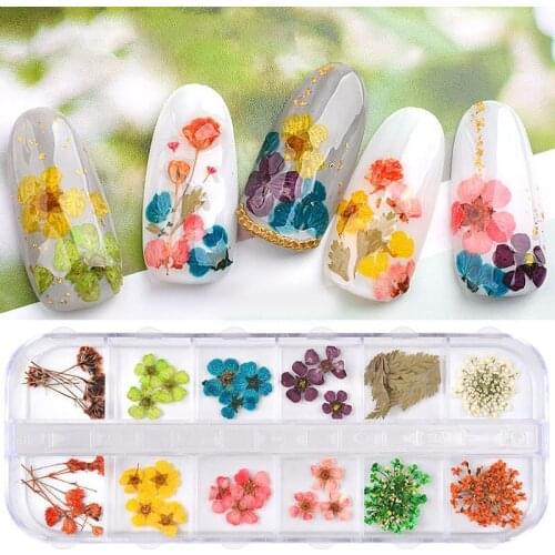 Real Pressed Flower Annes Lace Dried Flower Nail Art Resin Jewelry Making Exquisite Real Dried Flowers 2021 New Fashion