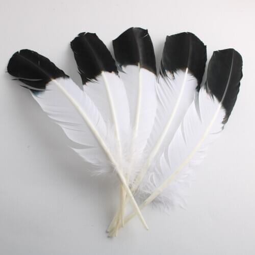 The New 50pcs/lot Beautiful Eagle Feathers 25-30 Cm/10-12 Inch Home Craft Party For Diy Accessories DIY Plume