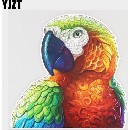 YJZT 16.8×16.6CM Color Macaw Creative Window Bumper Stickers Fashion Car Decoration Accessories 21A-0991