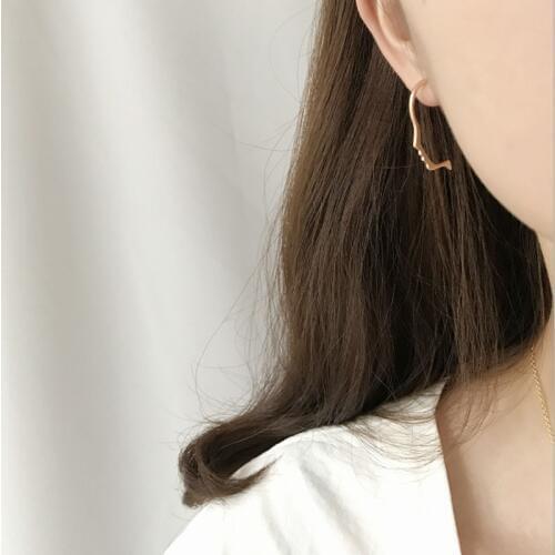 1Pair Funny Side Face Studs Earrings Animal Earings Fashion Jewelry 3 Color Drop Shipping Store