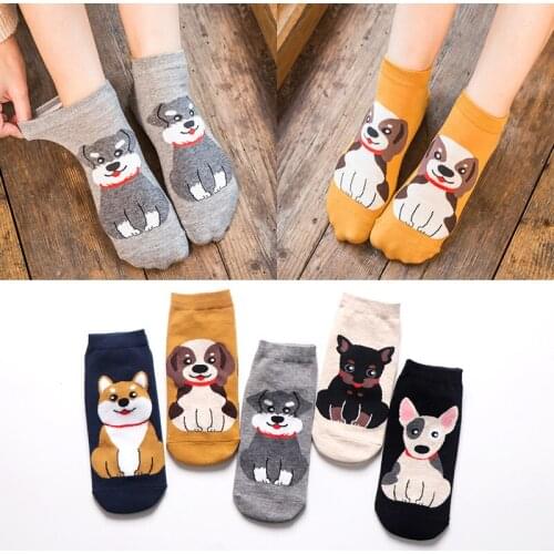 2021 Spring Products Japanese Cartoon Cute Puppy Series Straight Women Socks Cotton Akita Dog Fresh Pet Short Funny Boat Socks