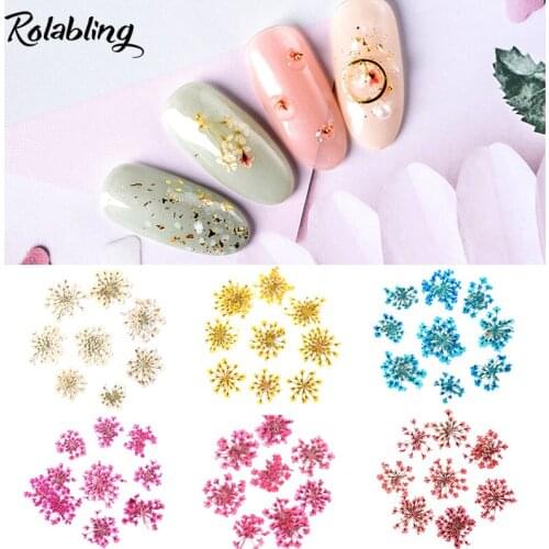 Rolabling Multi-color Dried Flower New Arrival 10pcs/1 Bag Flower Bloom 6 Color Manicure Nail Accessories Decoration Tools