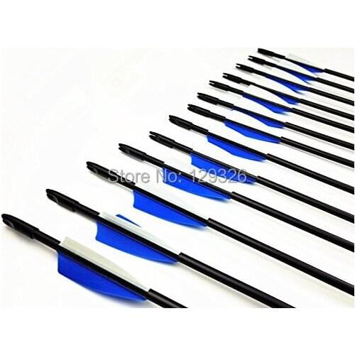 GPP Archery Beginners First Arrows (30" Fiberglass Target Archery Arrows) - 12 Pack