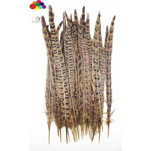 20-25 cm 8-10inch 100pcs/lot Size Super Quality Natural Ringneck Pheasant Tail Feathers
