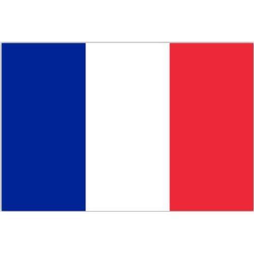 New large french flag great france poly banner flag 5*3FT 90*150cm france flag national polyster french flag