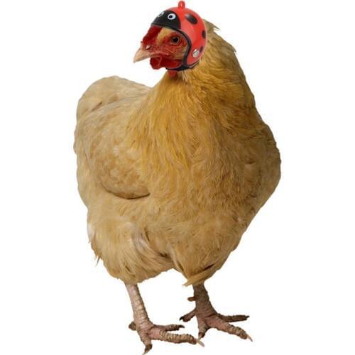 Creative Cute Chicken Hat Chicken Helmet Protection Head Cover Small Pet Hard Hat Bird Headgear For Chicken Duck Other Poultry