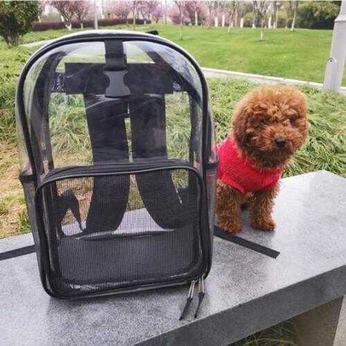 Pet Dog Portable Carrier Backpack Mesh Outdoor Travel Transparent Breathable Parrot Cat Dog Bird Backpack Carrying Cages