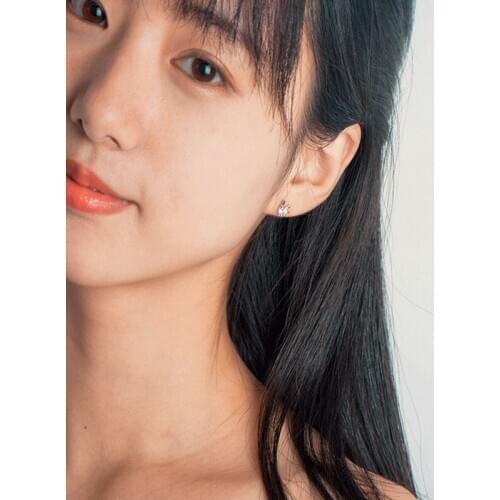 925 sterling silver elk diamond earrings Christmas jewelry antler earrings female Korean simple temperament silver jewelry