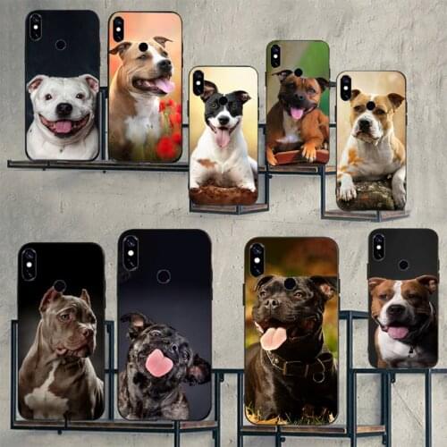 Staffordshire Bull Terrier Staffy Dog Phone Cases For Xiaomi Mi Redmi Note 7 8 9 pro 8T 9T 9S 9A 10 Lite pro