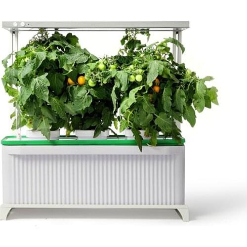 Urban hydroponics irrigation grow indoor smart garden eco-friendly economical self watering gardening system wholesale