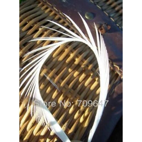 Feathers for crafts!200pcs/Lot white feathers, LOOSE BRIGHT WHITE STRIPPED GOOSE BIOTS for Fly Tying 6-8" 15-20cm
