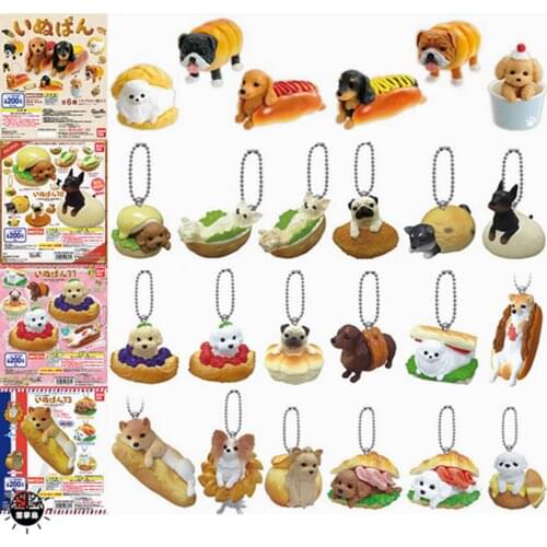 BANDAI Gashapon Anicolla Teddy Shiba Inu English Bulldog Bichon Fawn Pendant