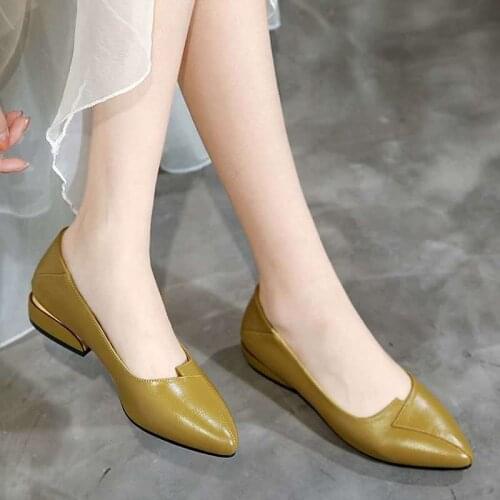 Summer Autumn Solid Color Shallow Mouth Women shoes Cusp Chunky Low Heels Shoes for Women 2021 Fashion Ladies Shoe A002