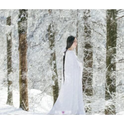Mei Hua Xue Plum Blossom in Snow Simple Elegant White Costume for Outdoor Thematic Photography Costume with Cloak