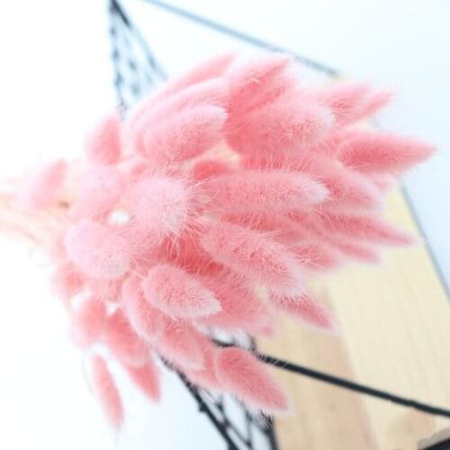 60Pcs Natural Dried Flowers Rabbit Tail Grass Bunch Colorful Flower Decoration Home Boho Wedding Bouquet Valentines Day Flores