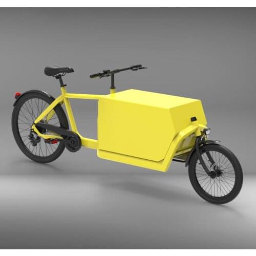 Electric Pedal 2 Wheels Cargo Bike For Euro Market Cargo Bike For Kids Bike For Puppy
