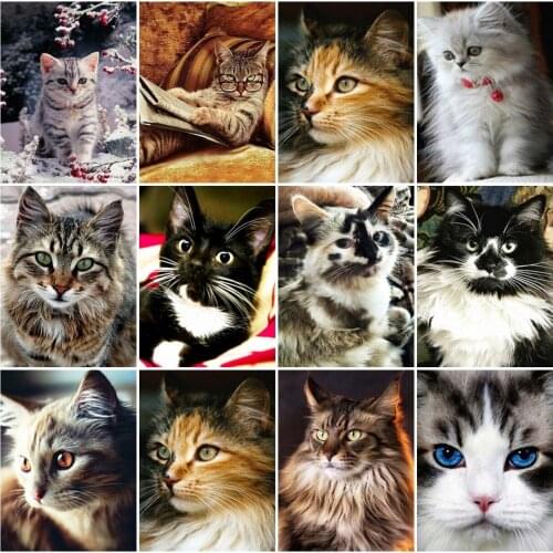 AZQSD Picture By Numbers Cat Frameless Acrylic Paint Hand Paint Kit On Canvas Oil Painting Animal Unique Gift For Children