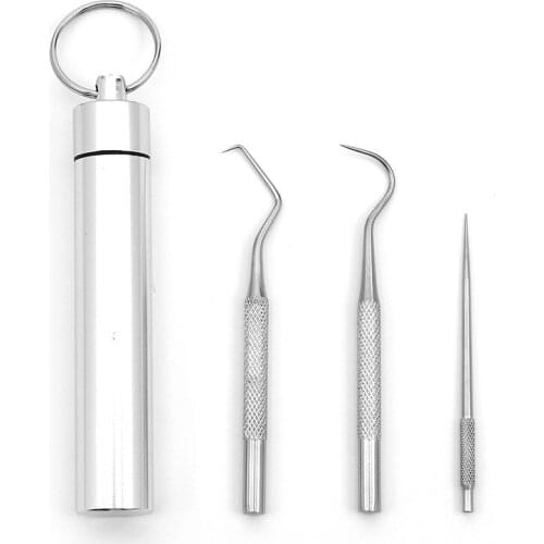 3 Pcs Picnic Toothpick Outdoor Edc Portable Multifunctional Toothpick Camping Tool Bottle Fruit Fork Tooth Cleaning Supply